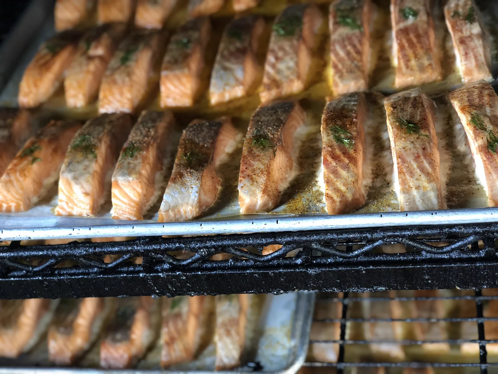 Seasoned salmon fillets with dill lined up on sheet pans